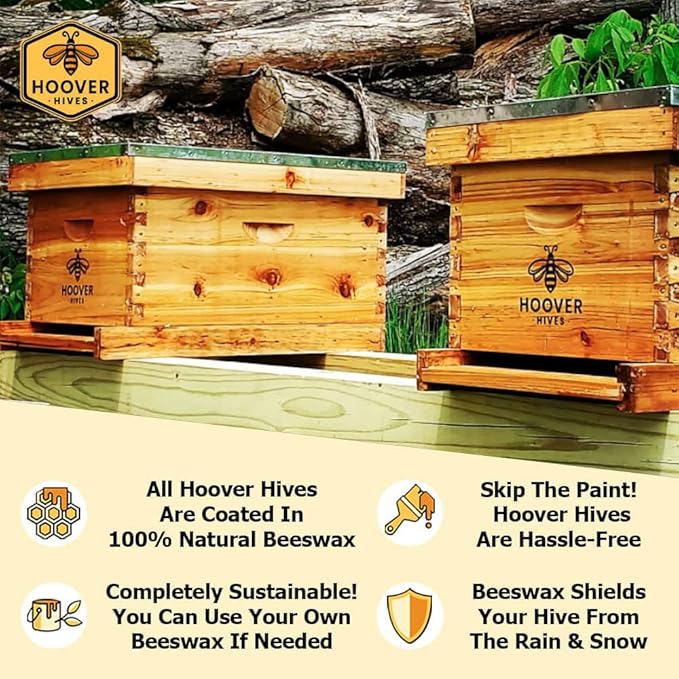 Hoover Hives Complete 8-Frame Beehive Kit – Wax-Coated Fir Wood, Includes 2 Deep Brood Boxes, 1 Medium Super, Langstroth Frames & CellTech Foundations – Durable, Weather-Resistant Beekeeping Supplies