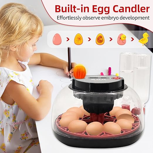 12 Egg Incubator with Humidity Display, Egg Incubator with Automatic Egg Turning and Automatic Water Bottle Refill, Chicken Incubators for Hatching Eggs, Duck Egg Quail Incubator