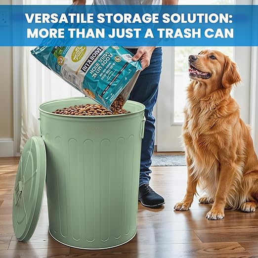 Plexon 20 Gallon Metal Trash Can and 13 Gallon Metal Trash Cans with Lids Outdoor Garbage Cans Heavy Duty Galvanized Buckets with Lids for Garage Workshop Ash Storage Farmhouse, Bundle
