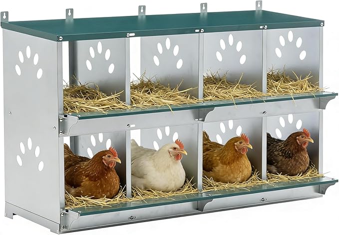 8 Compartment Metal Chicken Nesting Box, Roll Out Hen Laying Box for Easy Egg Collection, Wall Mount Poultry Nest Box for Backyard Chickens, Green, 42.72" L x 16.34" W x 26.38" H