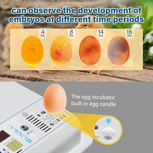 120 Egg Incubator Automatic Turning LED Display Temperature Humidity Control Built-in Candler External Water Fill Duals Power 110V/12V for Hatching Chicken Duck Quail Goose Eggs