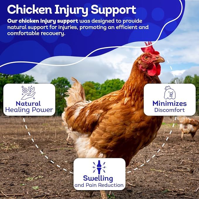 HA4E - Chicken Injury Supplement - Supports Recovery from Accidents & Injuries - Highly Effective, Natural Homeopathic Tablets - 300 Count