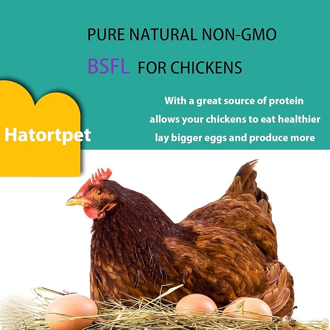 Dried Black Soldier Fly Larvae 10LB-Pure Natural Non-GMO BSF Larvae for Chickens-More Calcium Than Mealworms High-Protein Chickens Treats for Layer Hens Wild Birds Ducks