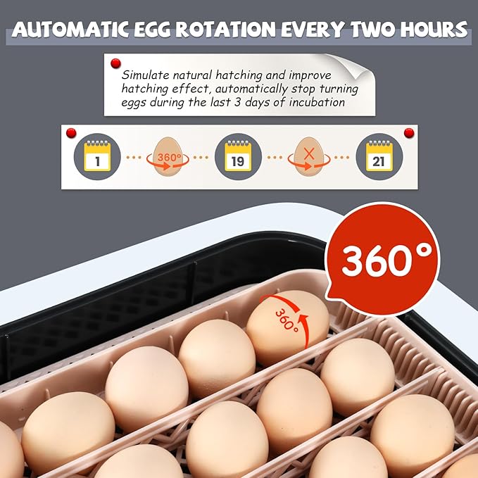 Sailnovo 70 Incubator for Hatching Eggs with Automatic Egg Turning and Auto Humidification, Temperature Control, Egg Candler, Large Incubator for Chicken Eggs, Ducks, Goose, Pigeon and Quail