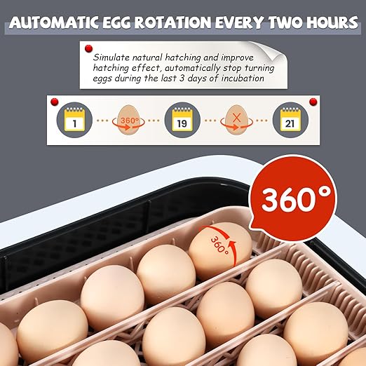 Sailnovo Incubators for Hatching Eggs 70 Egg Incubator with Auto Egg Turning & Auto Humidification, Temperature Control, Incubator for Chicken Duck Quail Eggs, Perfect for Lab School Farm, Gray&Yellow