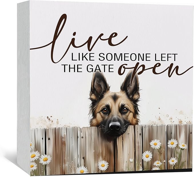 Belgian Malinois Signs - Farm Cottagecore Animal Office Kitchen Bedroom Decor,Rustic Farmhouse Live like Someone Left the Gate Open Home Decor Signs,Belgian Malinois Gifts for Women,6x6