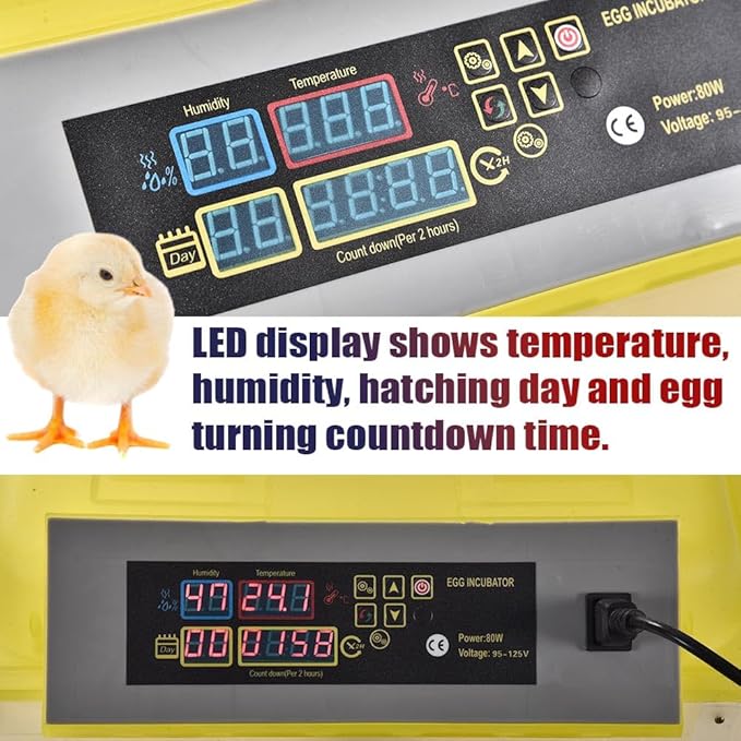 GRAND ORANGE Egg Incubator Automatic Digital Poultry Hatcher Machine Breeder with Temperature Control and Auto Turning for Hatching Chicken Duck Goose Quail Birds (96 Eggs)