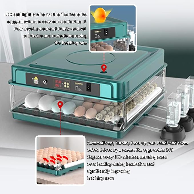 Adjustable Egg Incubators with Automatic Turning and Humidity Control, with Digital Display, for Hatching Eggs Include Chicken Duck Quail