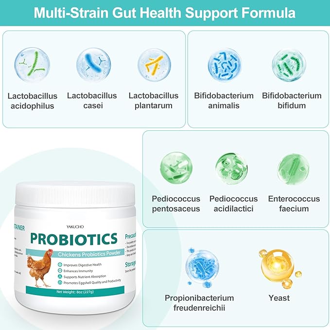 Chicken Probiotic Powder, 300 Billion CFU Multi-Strain Poultry Probiotics for Poultry, Supports Digestive Health Immune Support & Eggshell Quality, Easy Mix Feed Supplement Pullets Layers 8 oz