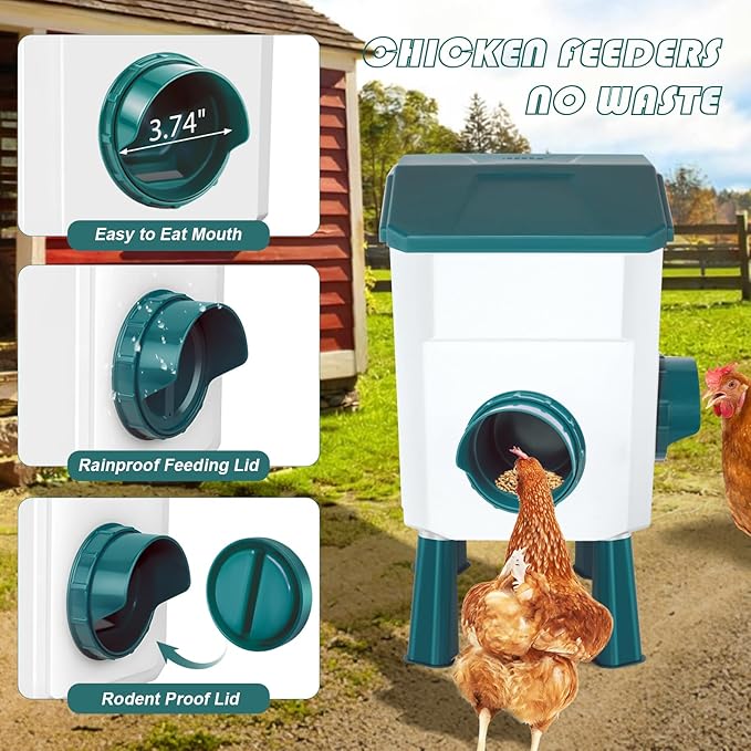 Chicken Feeder and Waterer Set with 2 Gallon/17.6 Pounds, Automatic Chick Feeder and Waterer Set No Waste， Poultry Feeder Large for Hens/Ducks/Poultry