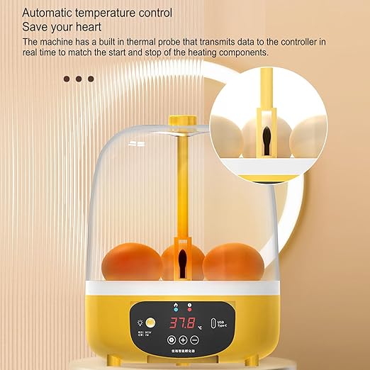 4 Eggs Incubator, Automatic Temperature and Humidity Control Eggs Hatching Incubator, Visual Low Noise Energy Saving USB Mini Poultry Hatcher for Eggs, Pigeon Eggs, Quail Eggs