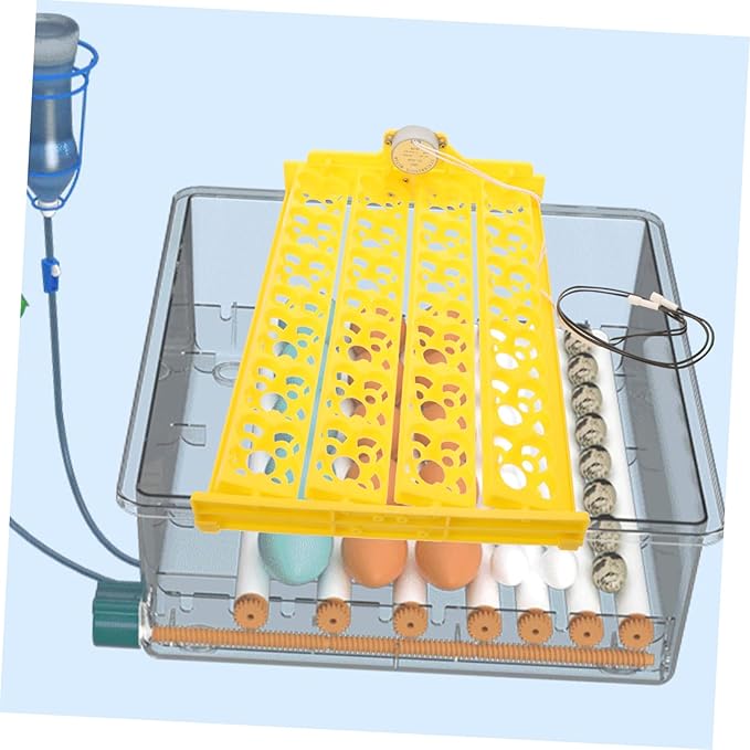 BESPORTBLE 12V Automatic Egg Turning Tray for Incubators Egg Capacity Convenient and Egg Turner Tool for Hatching Chickens Ducks Quail Birds Design for Improved