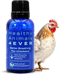 HA4E - Chicken Respiratory Support Supplement - Effective Breathing Aid for Chickens - Highly Effective Homeopathic Formula - 300 Tablets