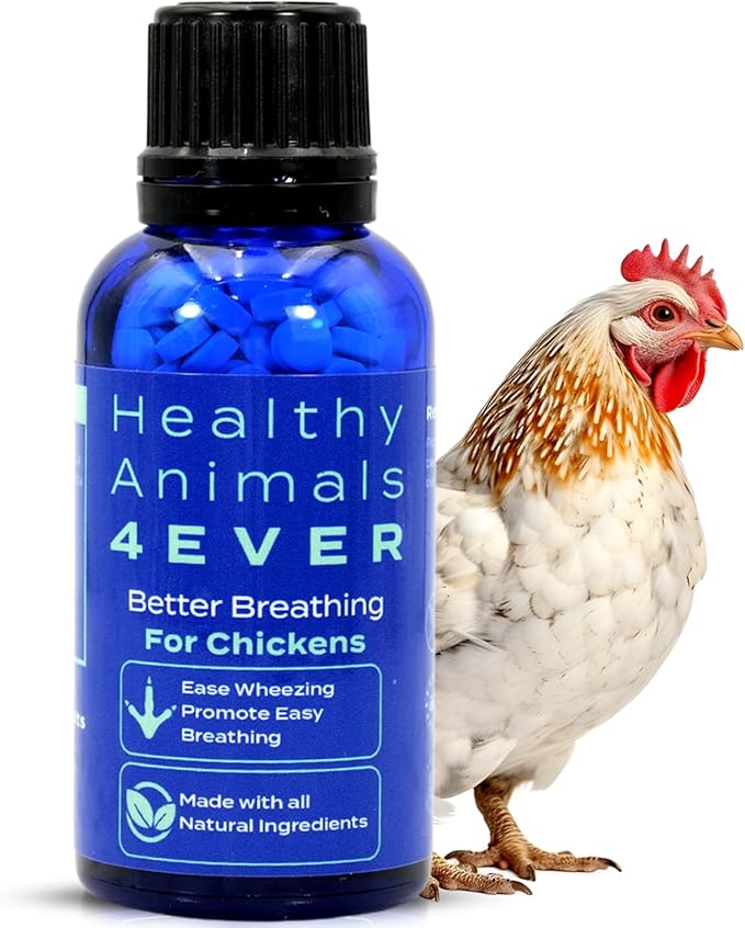 HA4E - Chicken Respiratory Support Supplement - Effective Breathing Aid for Chickens - Highly Effective Homeopathic Formula - 300 Tablets