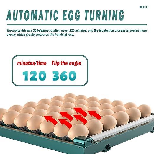6 9 12 15 24 30 36 48 Incubator for Chicken Eggs with LED Display- Auto Egg Turning Humidity Control Preset Modes for Chicken/Duck/Goose/Pigeon, Home/Farm/Industrial Use Egg Candler(176)
