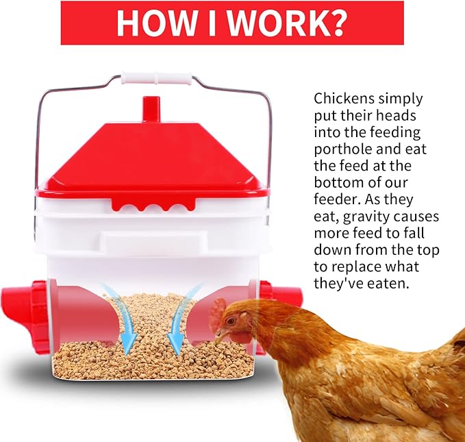 10 Pounds Chicken Feeder with 4 Ports, Rainproof Poultry Feeder for Up to 10 Adult Chickens or 15 Chicks （Patented Products）