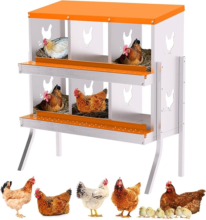 6-Compartment Chicken Nesting Box with Removable Tray - Metal Laying Boxes for Hens - Egg Rollaway Design, Wall Mount Farm Fresh Egg Collector, Hen Roosting Boxes for Chicken Coops