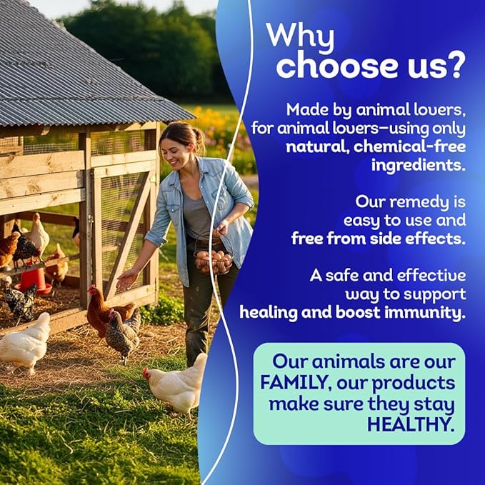 HA4E - Chicken Injury Supplement - Supports Recovery from Accidents & Injuries - Highly Effective, Natural Homeopathic Tablets - Barn Size (Extra Large)