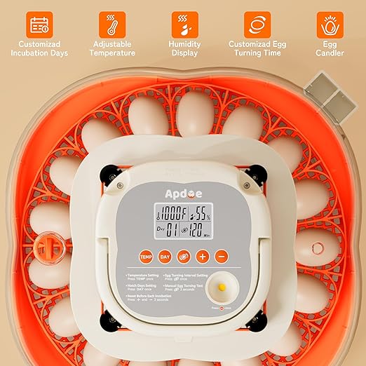 25 Egg Incubator, Extra-Large Interior with High Protective Wall, Top Carry Handle, Automatic Egg Turner, Preset Incubation Period, Auto Water Refill, for Chicken, Quail & Duck Eggs, APDOE HatchPro 25