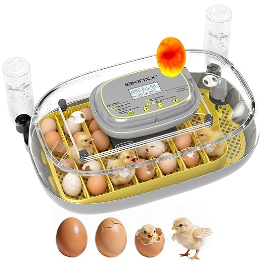 Incubator for Hatching Eggs-24 Egg Capacity, Automatic Egg Turner, Temperature & Humidity Control, 360° Viewing for Chicken, Duck and Quail Eggs