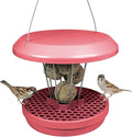 SWISSINNO Bird Feeders - No Mess Fat Ball/Suet Feeder for Outdoors Hanging - Smart Birds Lucerne Spill Proof Wild Cardinal Bird Feeder with Integrated Seed Catcher Tray - Dusty Rose