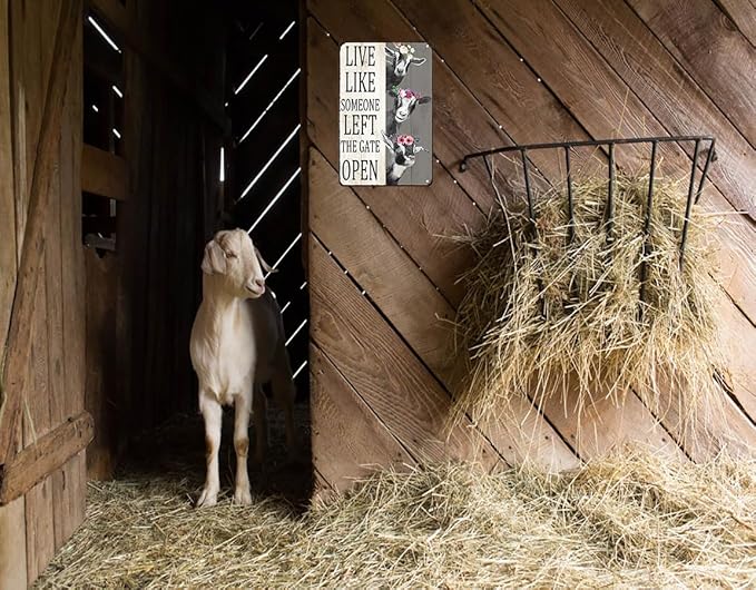 Goat Gifts Vintage Goat Decor Sign Live Like Someone Left The Gate Open Tin Sign for Home Farm Fence Kitchen Bathroom Bedroom Wall Decor 8x12 Inches (3198)