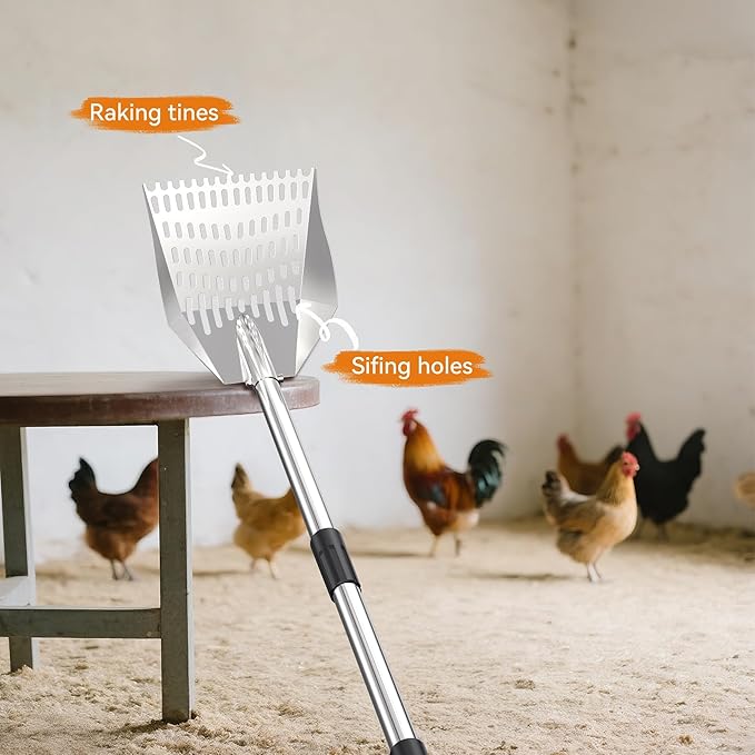 Chicken Poop Scooper: 2-in-1 Rake & Sifter - Silver Chicken Poop Shovel for Sand with Adjustable Stainless Steel Handle (35-59") for Small Spaces