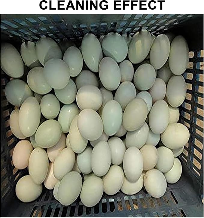 2300 Pcs/H Egg Washing Machine, Automatic Egg Washer Machine with Roller Brush, 304 Stainless Steel Egg Washer for Fresh Eggs, Egg Cleaner for Chicken, Duck, and Goose Eggs