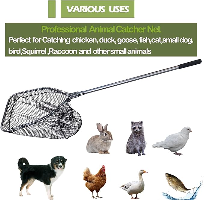 Catch Pole Net with Telescopic Handle,Animal Catcher Net for Cat,Rabbit,Chicken,Duck,Goose,Fish,Racoon,and Other Poultry Wildlife