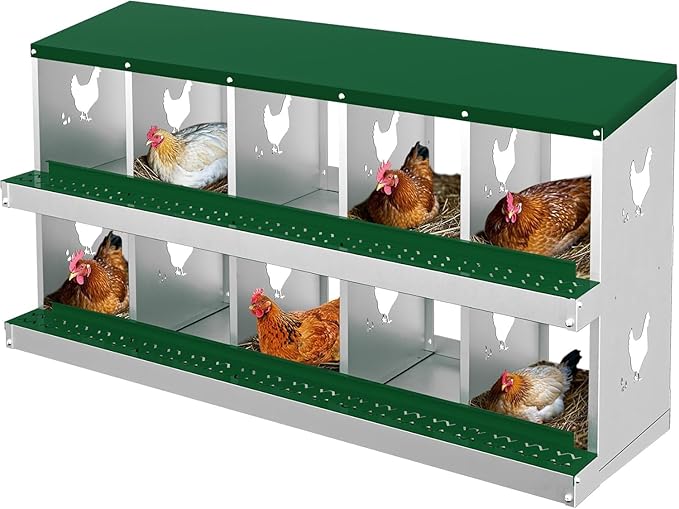 Metal Chicken Nesting Boxes, Heavy-Duty Galvanized Steel Egg Laying Box with 10 Compartments, Rustproof, Easy to Install & Clean, Wall-Mountable Design for Poultry Coops- Green Without Stand