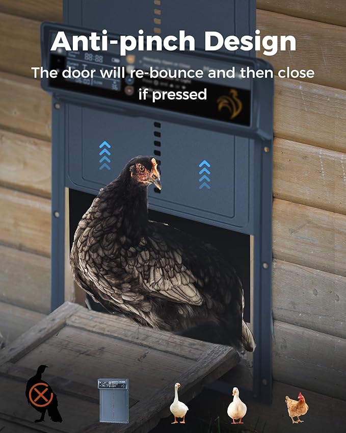 Automatic Chicken Coop Door Solar Powered, LCD Display, Timer & Light Sensor, 20-m Remote Control,Electirc Door,4 Modes, USB Rechargeable Battery, Light Blue