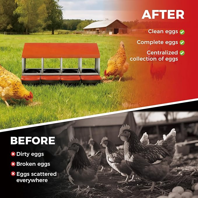 Chicken Nesting Boxes with Cleanable Pull-Out Trays, 4-Hole Wall Mount Roll Away Nest for Easy Cleaning & Egg Collection