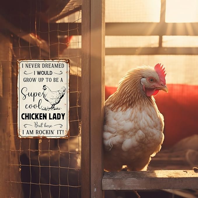Vintage Metal Chicken Lady Sign - 8x12 Inch Wall Decor for Farmhouse & Chicken Coop