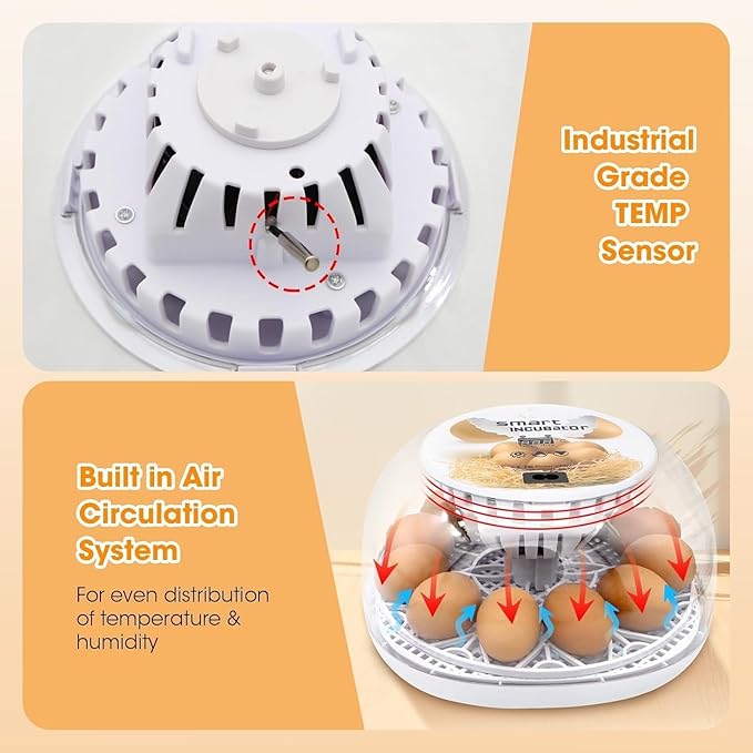 Incubators for Hatching Eggs, Chicken Waterer Cups, Automatic Egg Turner Holds 12 Eggs, Smart Incubator 360° Clear Window with Temperature Display Egg Candler for Small Poultry Chickens Ducks Quails