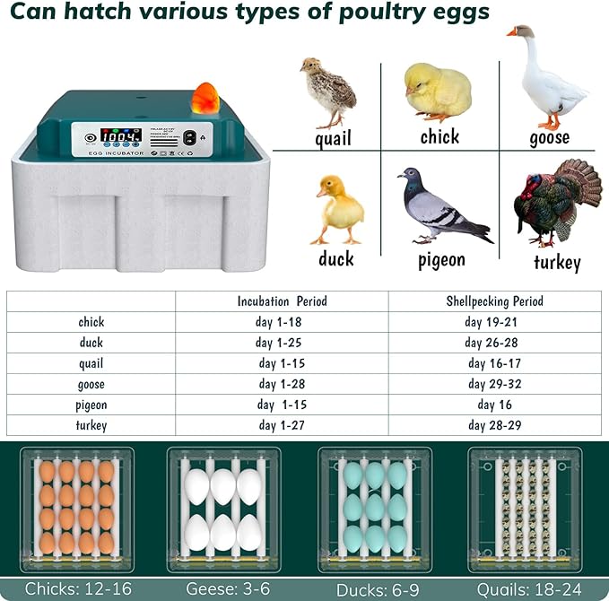 Egg Incubator, Egg Incubator with Automatic Egg Turning and Automatic Water Addition, 12-16 Eggs Incubator with Egg Candler, Incubator for Chicken Eggs Duck Eggs Quail Eggs