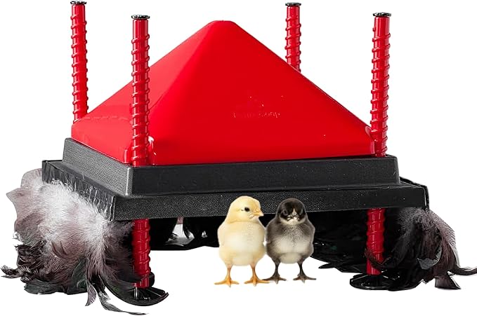 RentACoop 12x12” Adjustable Heating Plate with Hard Anti-Roost Cone Set and Removable Comfort Feathers - Chick Brooder Heat Plate Warms Up to 20 Chicks – Energy Efficient - Safer Than Heat Lamps