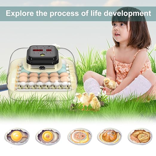 35 Egg Incubator with Automatic Egg Turning and Humidity Control, Incubator for Chicken Eggs, Quail, Duck Eggs, with Egg Candler