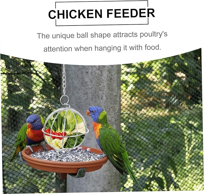 GALPADA 6pcs Poultry Feeder Chicken Treat Hanging Fruit Vegetable Feeder for Chickens Hens Birds Parrots