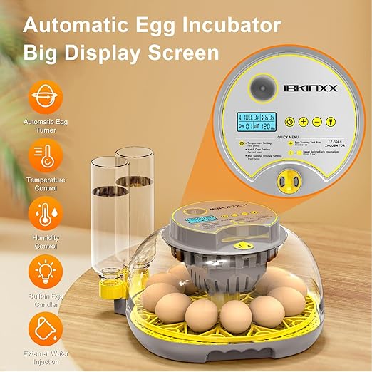 Incubator for Hatching Eggs-12 Egg Capacity, 2026 Newly Upraded Automatic Egg Turner, Temperature & Humidity Control, 360° Viewing for Chicken, Duck and Quail Eggs (Grey)