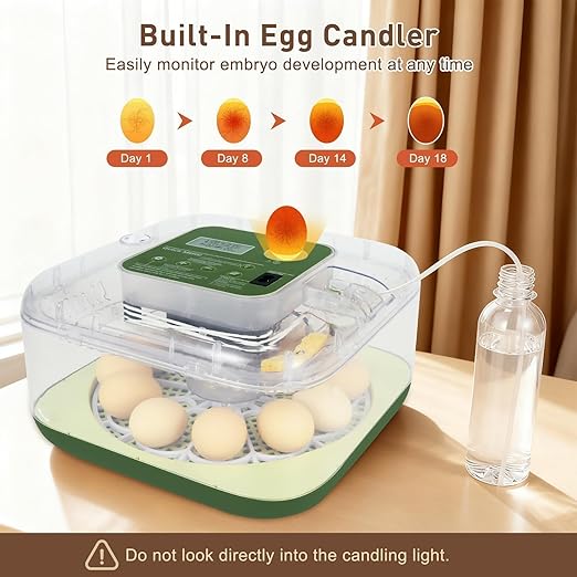 4th Gen – 12 Egg Fully Automatic Incubator, 2026 Upgraded Design, Intelligent Sensor-Based Humidity & Temp Control, Custom Hatch Days, Adjustable Auto Turnn with Auto-Stop, 360° View, Alarm, Candler
