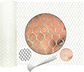 White Plastic Wire Mesh Fence Plastic Chicken Wire Fence Mesh 7.87IN x5.91FTbest for Poultry, Cat,Dogs, Rabbit, Snake & Gardening Plastic Chicken Wire Mesh,with 25 Pcs Fixed Straps
