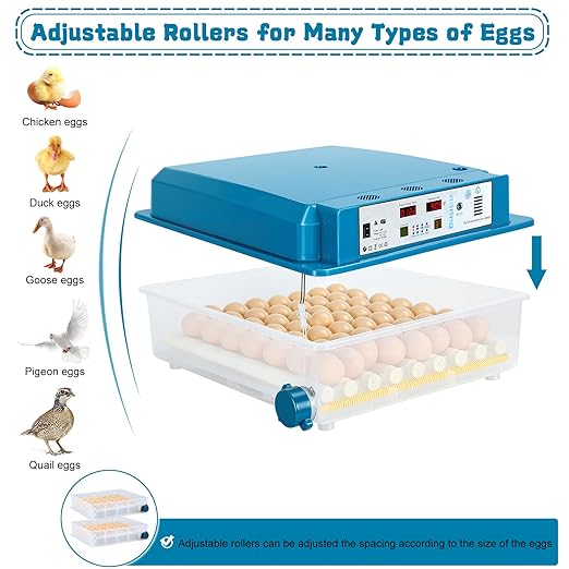 Incubators for Hatching Eggs,64 Egg Incubator with Automatic Turner, Digital Temperature & Humidity Control, Dual Power for Hatching Chicken, Duck, Goose, Bird, Quail Eggs