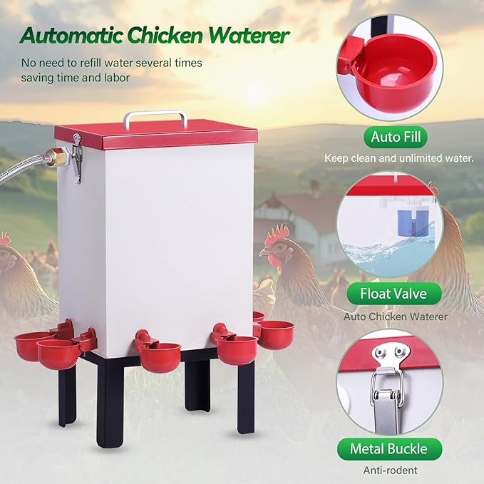 3 Gallon Chicken Waterer,Stainless Steels Automatic Chicken Waterer Feeder with Float Valve,Water Cups, Bottom Bracket and Hose (One End 3/4") Poultry Waterer Dispenser for Quail Duck Goose Turkeys
