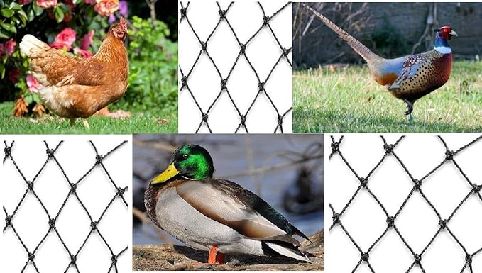 Aviary Netting Heavy Knotted 2 inch Poultry Net (25 ft x 150 ft)