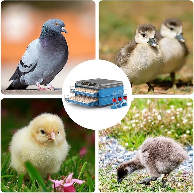 Automatic Incubator, Egg Incubator, with Automatic Temperature and Humidity Control Incubators for Hatching Eggs,256Eggs,128Eggs