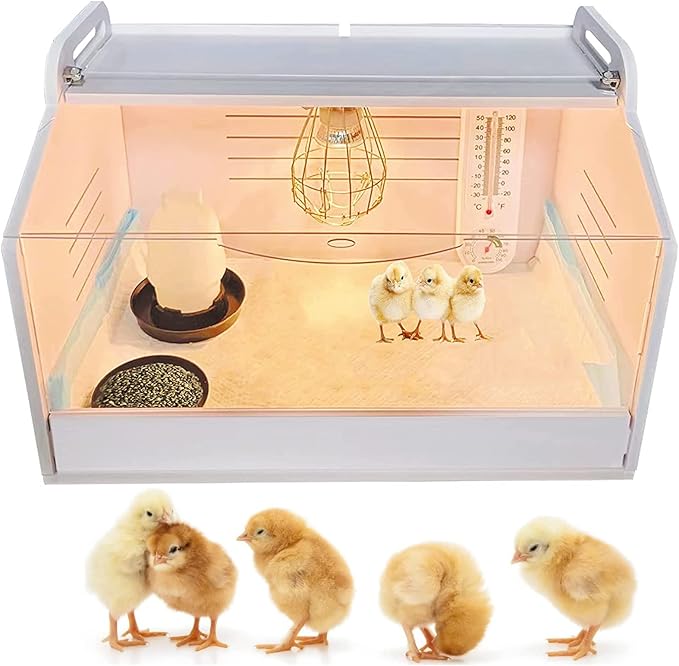 Brooder Box for Chicks Starter Kit Chicken Brooding Box with Vented Grill Quail Macaw Ducklings Heating Brooder with Heat Lamp (Standard S/48 * 30 * 32CM)