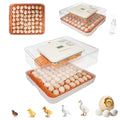 4th Gen – 56 Egg Fullly Automatic Incubator, 2026 Upgraded Design, Intelligent Sensor-Based Humidity & Temp Control, Chick Separator, Custom Days, Adjustable Auto Turning & Stop, Flexible Egg Spacing