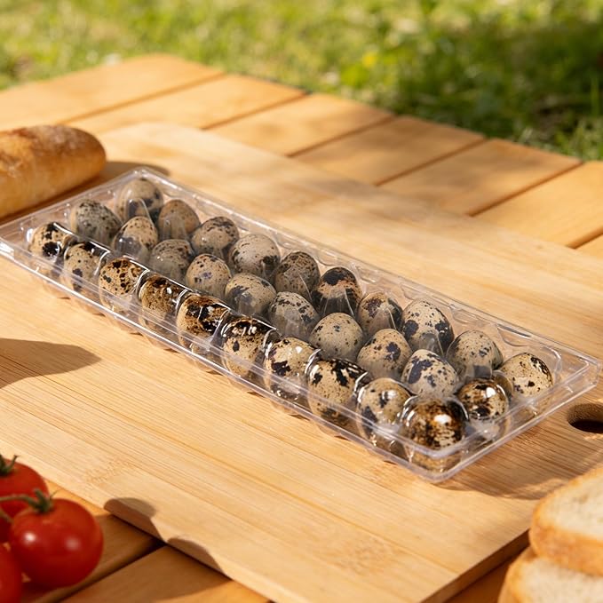 Kisangel 30pcs 30 Grids Clear Quail Egg Carton - Small Plastic Quail Egg Storage Holder with Lid - Reusable Dispenser Holder for Small Pigeon Pheasant Egges
