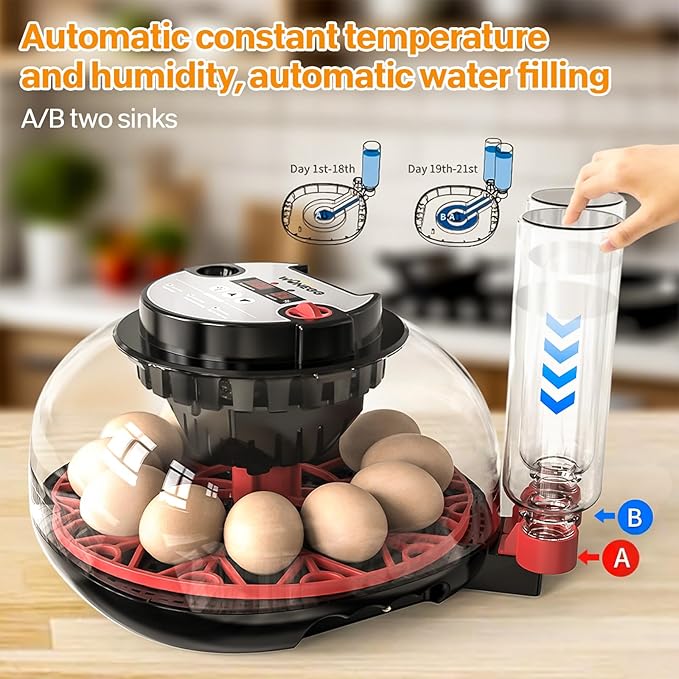 Incubators for Hatching Eggs,Chicken Egg Incubator,Egg Incubator with Automatic Turning with Temperature & Humidity Control,360° Viewing Display,Includes Egg Observation Light,12 Eggs