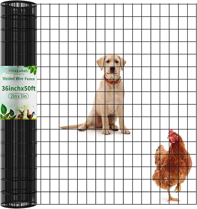 Amagabeli Black PVC Coated Welded Wire Fence 48inch x 50ft 2 Inch x 3 Inch 16 Gauge Chicken Wire Mesh Roll Metal Garden Border Fencing for Yard Vegetable Plant Protection Poultry Netting Cage
